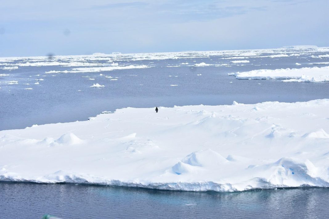 New NCPOR study attempts to resolve the Mystery of extremely low sea ice cover in Antarctic New NCPOR study attempts to resolve the Mystery of extremely low sea ice cover in Antarctic