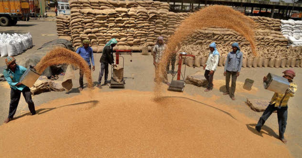 Centre imposes stock limit on Wheat until 31st March, 2025 in all States and UTs Centre imposes stock limit on Wheat until 31st March, 2025 in all States and UTs