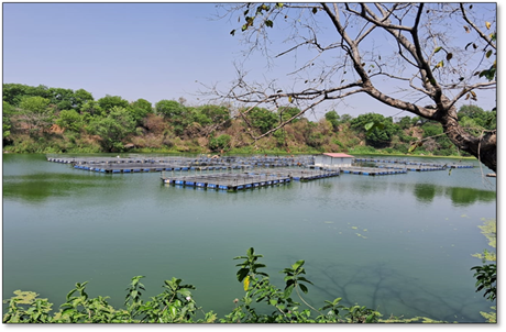 Coal Pits for Prosperity – CCL Fish Farming for Community Empowerment Coal Pits for Prosperity – CCL Fish Farming for Community Empowerment