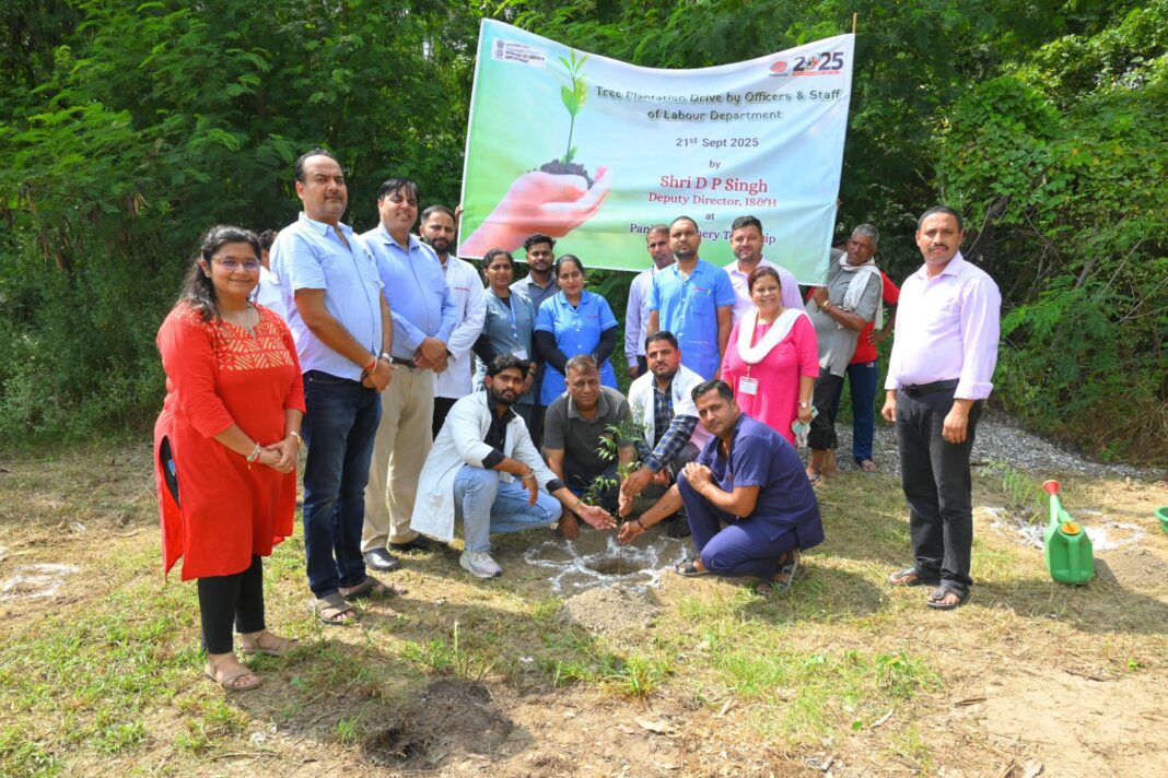 Plantation Drive Organized at Panipat Refinery Township under Shramik Samman and Awareness Campaign Plantation Drive Organized at Panipat Refinery Township under Shramik Samman and Awareness Campaign